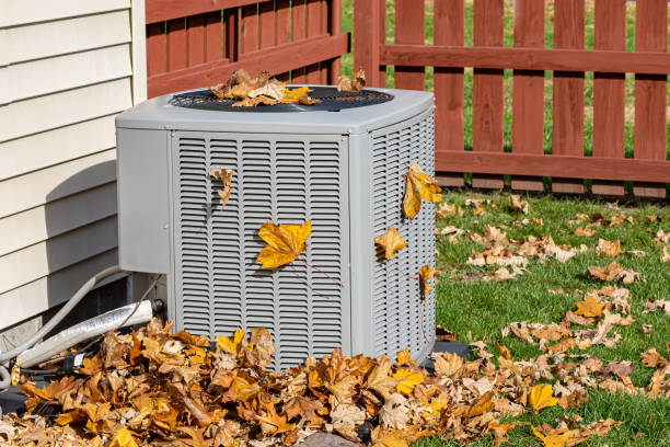 Best Local HVAC companies  in Chisholm, ME